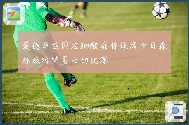 爱德华兹因右脚酸痛将缺席今日森林狼对阵勇士的比赛